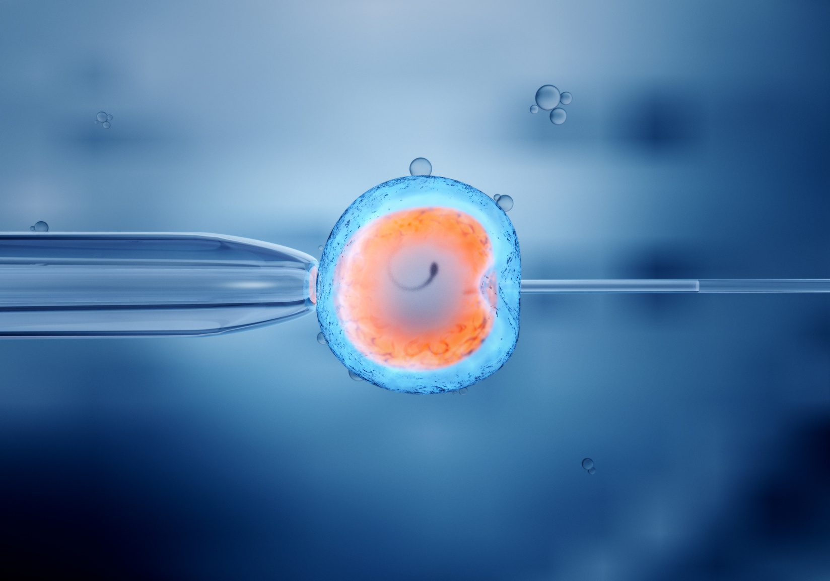 STJ:Plano de saúde não deve custear fertilização in vitro
