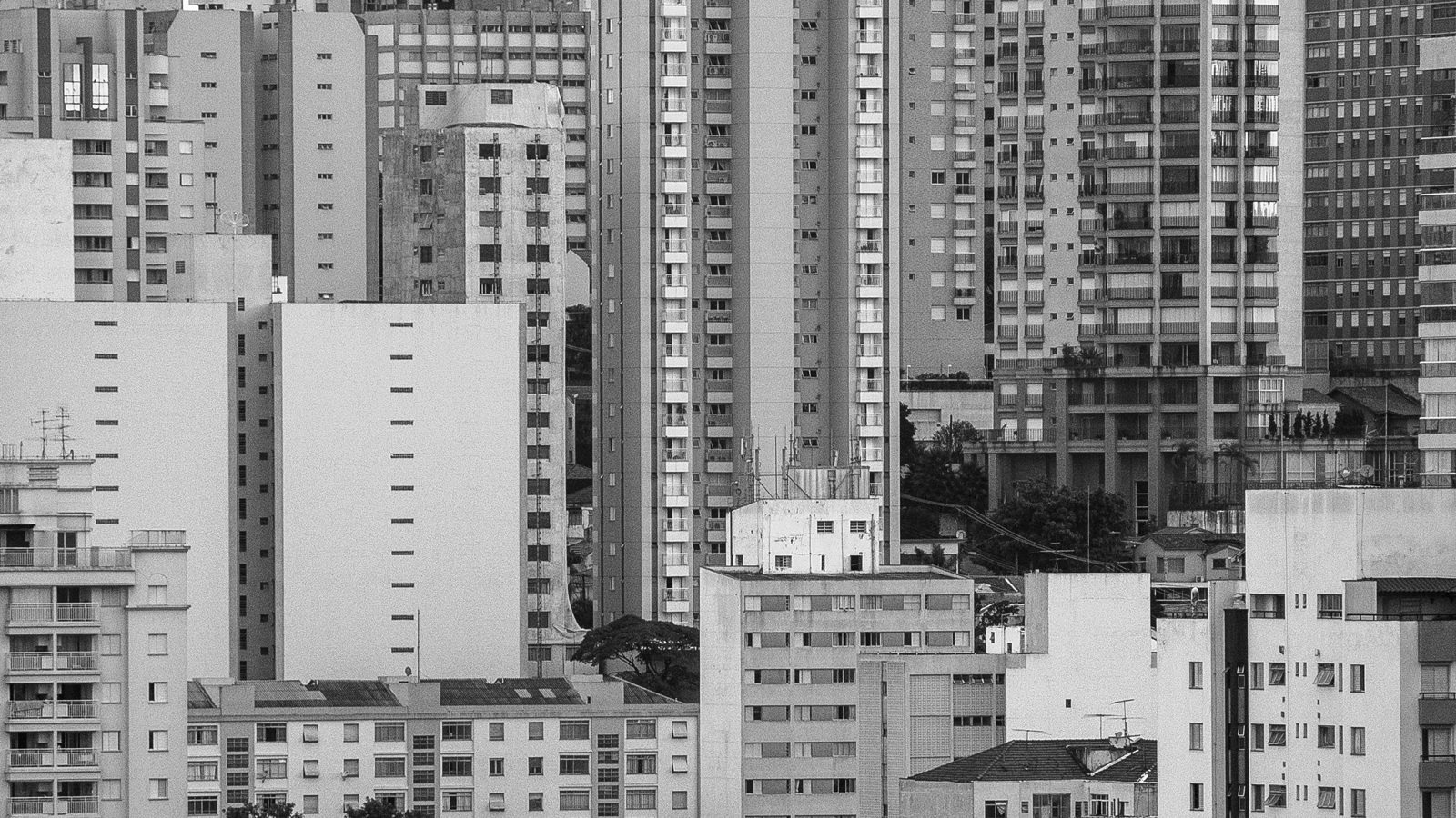 Lei de Locações: um tiro pela culatra?