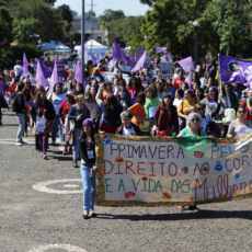 STF: decisão sobre aborto não viola separação de poderes