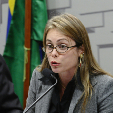 Multa do Cade deve ser maior que prejuízo causado por cartel, diz conselheira