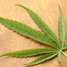 Maconha e o descontrole difuso de constitucionalidade