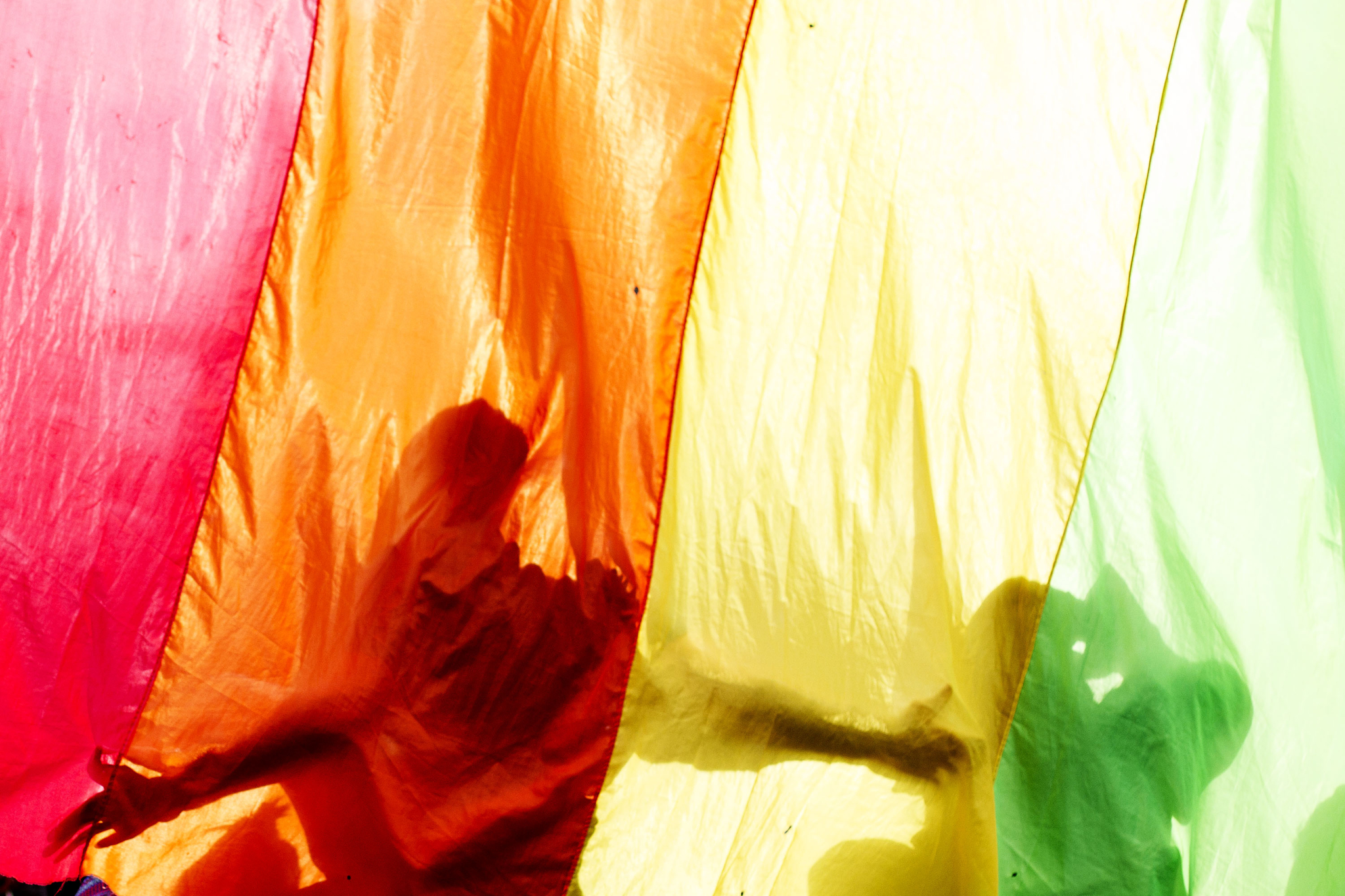 filiação LGBT