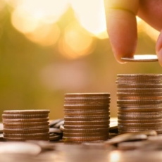 A categoria de investidor profissional no mercado de capitais