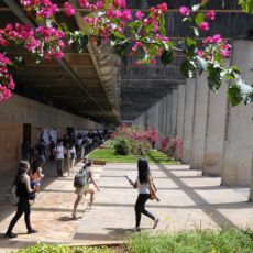 Alunos negros, professores negros