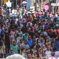 O lugar do “leigo” no Direito brasileiro