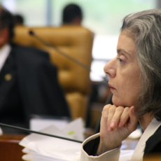 (In)fidelidade constitucional e polifonia de argumentos