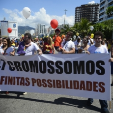 O STF, a inclusão e a qualidade do ensino no Brasil