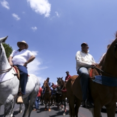 A vaquejada e a crueldade constitucional
