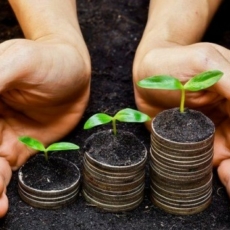 Os 7 princípios do Código de Stewardship da AMEC