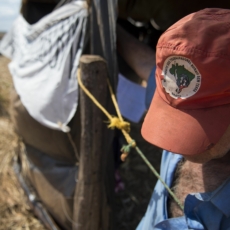 Venda de fazenda ocupada pelo MST deve ser tributada pelo IR