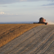 Limitações jurídicas à modernização do agronegócio