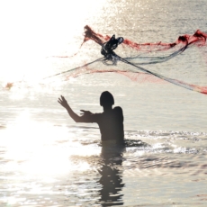 Fishing Expedition