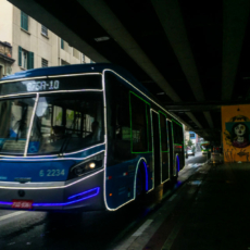 Passe livre: caminhos para a implementação