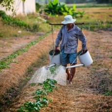 A reforma da exclusão: trabalhadores rurais e PEC 287