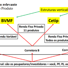 Voto de Cristiane Alkmin na fusão BM&FBovespa-Cetip