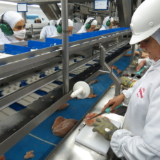 Câmara Superior do Carf analisa uso de FIP durante incorporação do grupo Bertin
