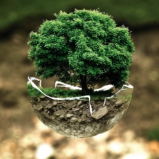 Desafios atuais do licenciamento ambiental