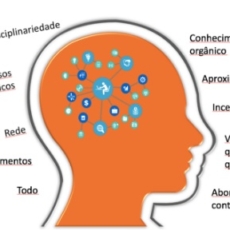 Um novo mindset para a advocacia empresarial