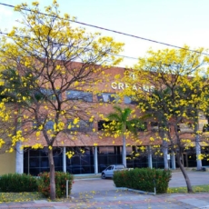 Concurso para procurador jurídico do CREA-MS