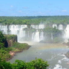 Cinco anos de vigência do “Novo Código Florestal”