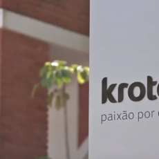 O mercado de educação e o Cade