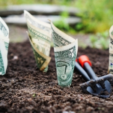 Equity crowdfunding e captação pelas startups