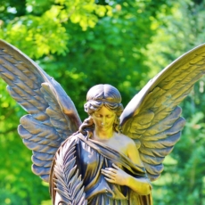 7 cláusulas para diluição de risco do investidor anjo