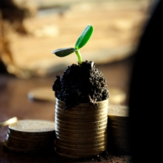 Por que o crowdfunding ainda não vingou no Brasil?