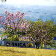Unicamp oferece especialização em Direito e Economia