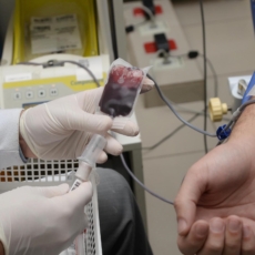 Sem debate público, PEC do Plasma avança e traz incertezas para política de sangue