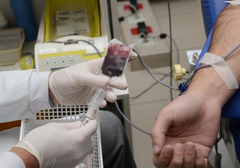 doação de sangue por homens gays
