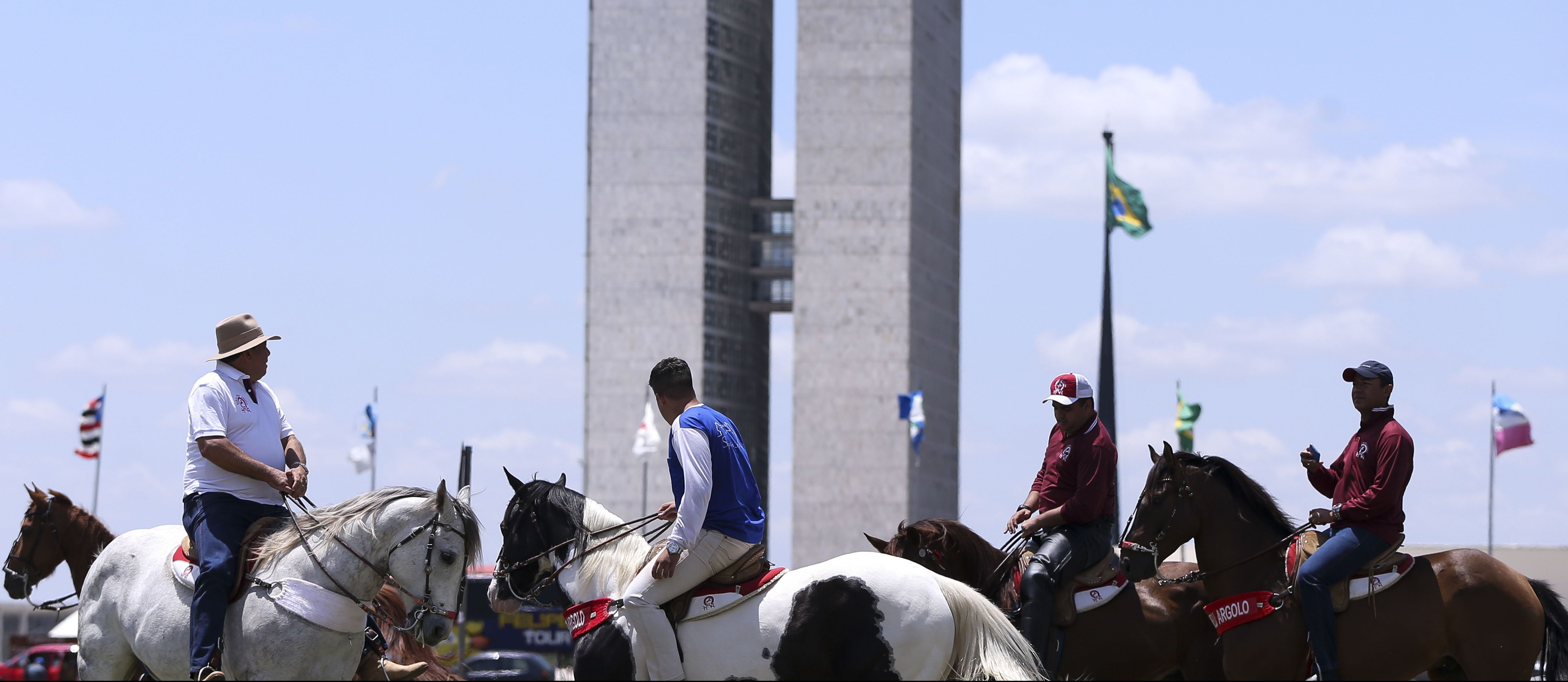 PGR vai ao STF contra EC 96 que permitiu a vaquejada