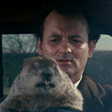 A marmota, a víbora e o corrupto