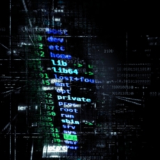 Blockchain Zero: (cripto) Anarquia