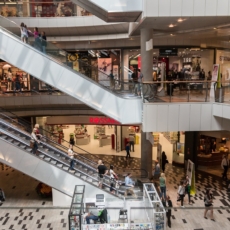 A criação de obrigações via princípios