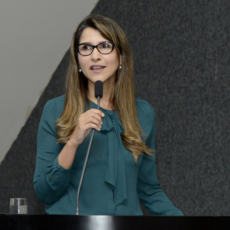 Lobby sem limite mina ideia de democracia, diz Ana Frazão