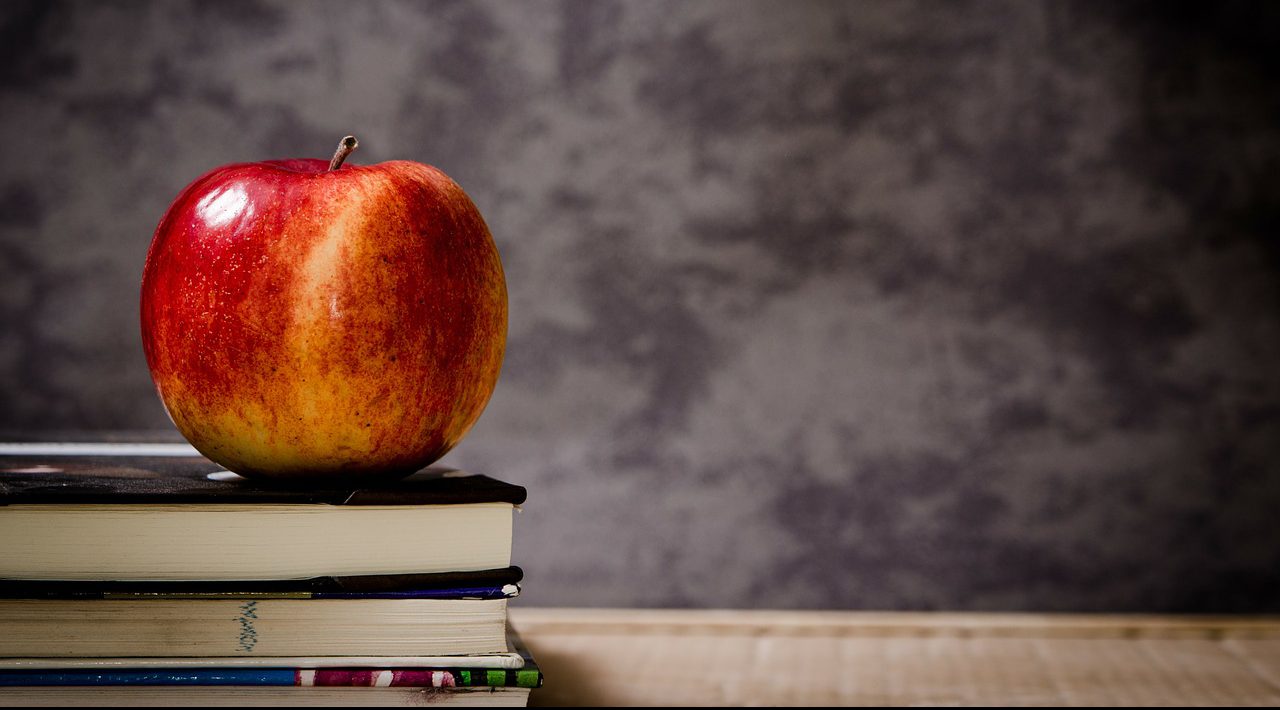 IR: Direito fundamental ao ensino particular?
