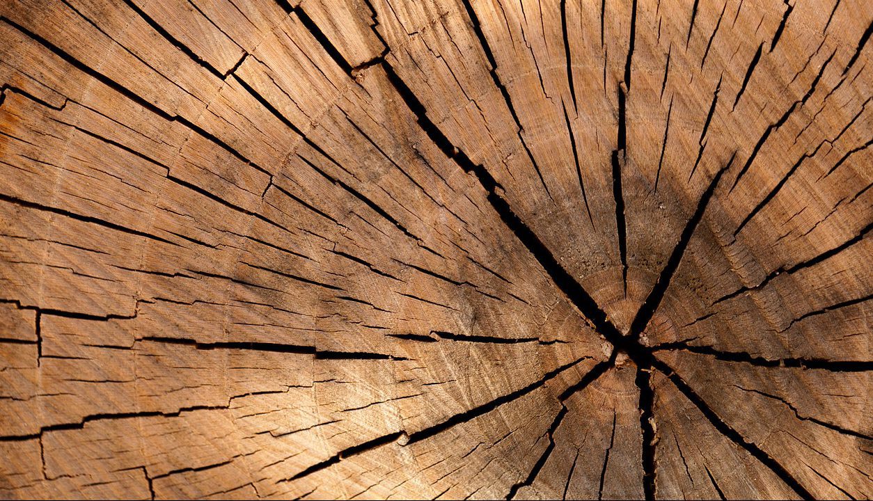Gestor, pare de se apegar aos detalhes pequenos