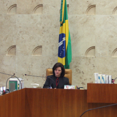 Vaquejada é negócio, diz entidade de proteção a animais
