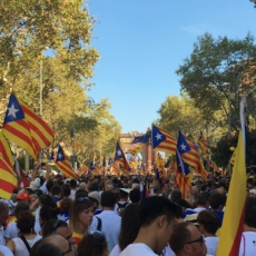 Sobre Catalunha: Frente aos nacionalismos, pluralidade