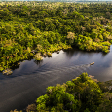 Amazonas pede a inconstitucionalidade da LC 160 e Convênio do ICMS