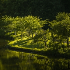 O Código de Conduta Ética do Ministério do Meio Ambiente