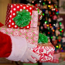 Indulto de Natal versus autorização temporária