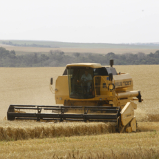 O conflito entre o declarado e o escriturado pelo produtor rural pessoa física