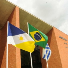 Justiça determina que Assembleia do Tocantins reduza número de comissionados