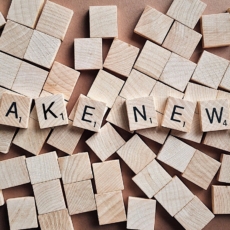 A parte fake da guerra contra as fake news