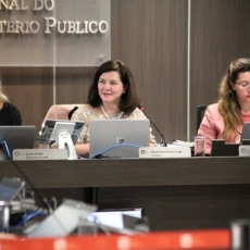Raquel Dodge: inibir direito de crítica pode diminuir vigor da democracia