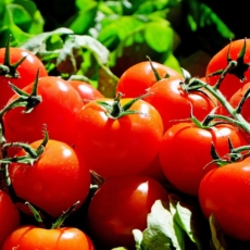 O tomate não é uma ideia. E arremessá-los não é liberdade de expressão