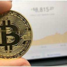 Integralização com criptoativos e higidez do capital social