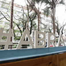 Fábio Zambeli e Paty Gomes participam do 17º Congresso de Jornalismo Investigativo